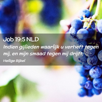 Picture 02 - Job 19:5 NLD - Indien gijlieden waarlijk u verheft tegen mij, en - Bible Verse Picture