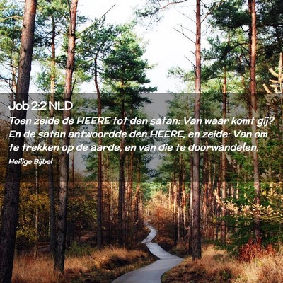 Picture 02 - Job 2:2 NLD - Toen zeide de HEERE tot den satan: Van waar komt - Bible Verse Picture