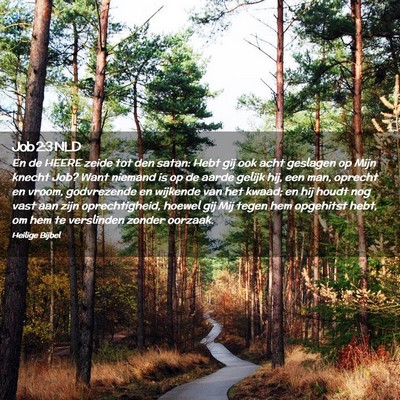 Picture 02 - Job 2:3 NLD - En de HEERE zeide tot den satan: Hebt gij ook - Bible Verse Picture