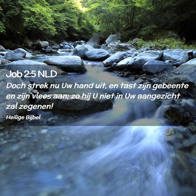 Picture 02 - Job 2:5 NLD - Doch strek nu Uw hand uit, en tast zijn gebeente - Bible Verse Picture