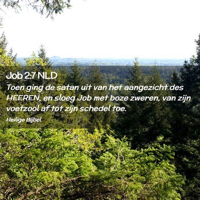 Picture 02 - Job 2:7 NLD - Toen ging de satan uit van het aangezicht des - Bible Verse Picture