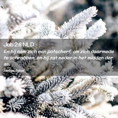 Picture 02 - Job 2:8 NLD - En hij nam zich een potscherf, om zich daarmede - Bible Verse Picture