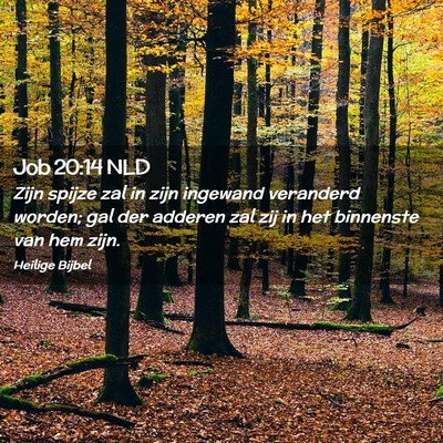 Picture 02 - Job 20:14 NLD - Zijn spijze zal in zijn ingewand veranderd - Bible Verse Picture
