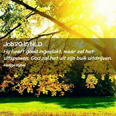 Picture 02 - Job 20:15 NLD - Hij heeft goed ingeslokt, maar zal het uitspuwen; - Bible Verse Picture