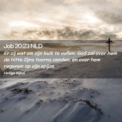 Picture 02 - Job 20:23 NLD - Er zij wat om zijn buik te vullen; God zal over - Bible Verse Picture