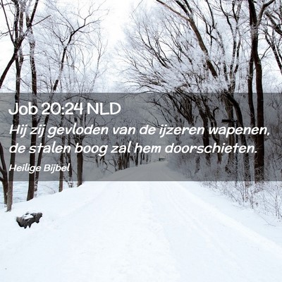 Picture 02 - Job 20:24 NLD - Hij zij gevloden van de ijzeren wapenen, de - Bible Verse Picture