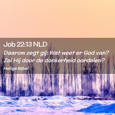 Picture 02 - Job 22:13 NLD - Daarom zegt gij: Wat weet er God van? Zal Hij - Bible Verse Picture