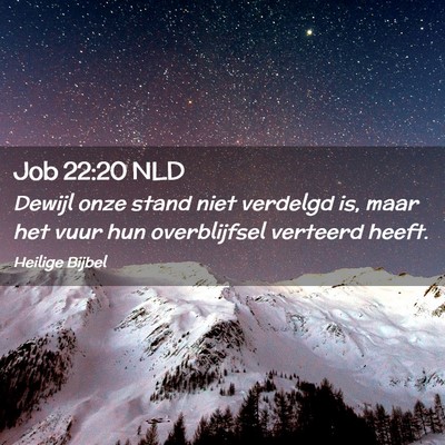 Picture 02 - Job 22:20 NLD - Dewijl onze stand niet verdelgd is, maar het vuur - Bible Verse Picture