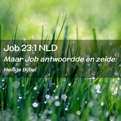 Picture 02 - Job 23:1 NLD - Maar Job antwoordde en - Bible Verse Picture