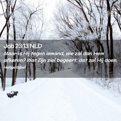 Picture 02 - Job 23:13 NLD - Maar is Hij tegen iemand, wie zal dan Hem - Bible Verse Picture