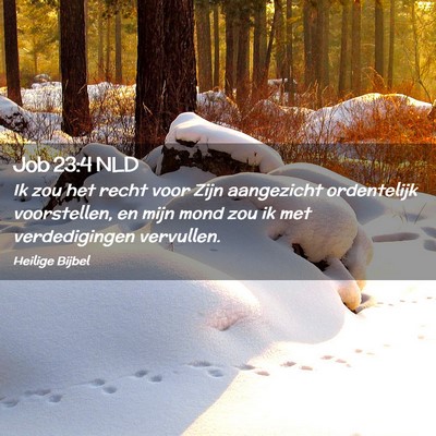 Picture 02 - Job 23:4 NLD - Ik zou het recht voor Zijn aangezicht ordentelijk - Bible Verse Picture