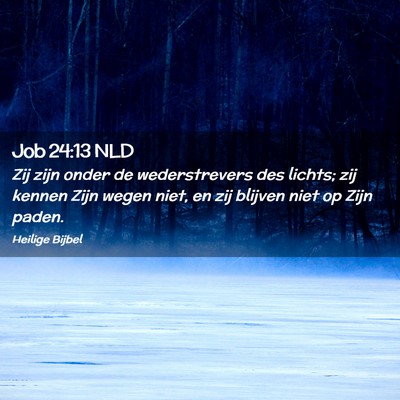 Picture 02 - Job 24:13 NLD - Zij zijn onder de wederstrevers des lichts; zij - Bible Verse Picture