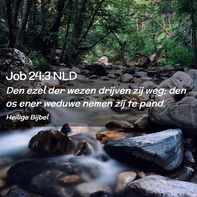 Picture 02 - Job 24:3 NLD - Den ezel der wezen drijven zij weg; den os ener - Bible Verse Picture