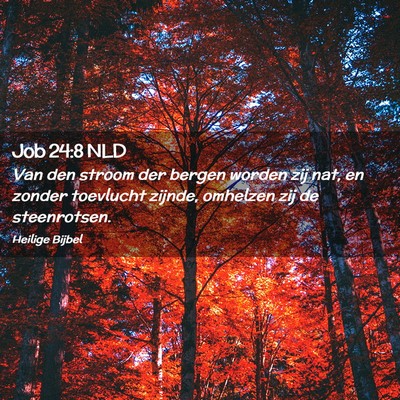 Picture 02 - Job 24:8 NLD - Van den stroom der bergen worden zij nat, en - Bible Verse Picture