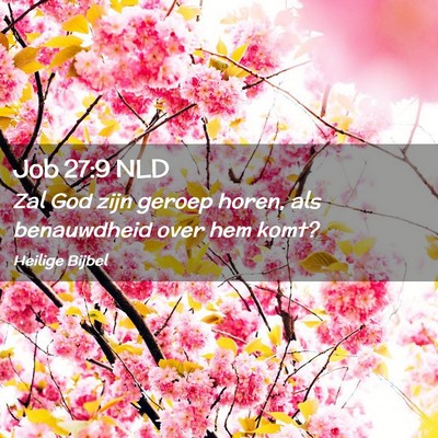 Picture 02 - Job 27:9 NLD - Zal God zijn geroep horen, als benauwdheid over - Bible Verse Picture