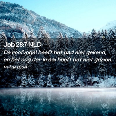 Picture 02 - Job 28:7 NLD - De roofvogel heeft het pad niet gekend, en het - Bible Verse Picture