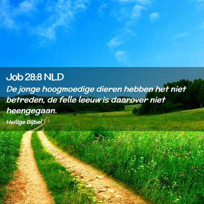 Picture 02 - Job 28:8 NLD - De jonge hoogmoedige dieren hebben het niet - Bible Verse Picture