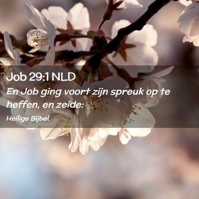 Picture 02 - Job 29:1 NLD - En Job ging voort zijn spreuk op te heffen, en - Bible Verse Picture