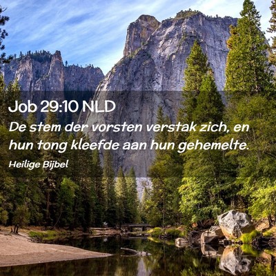 Picture 02 - Job 29:10 NLD - De stem der vorsten verstak zich, en hun tong - Bible Verse Picture