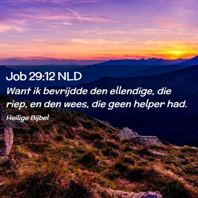 Picture 02 - Job 29:12 NLD - Want ik bevrijdde den ellendige, die riep, en den - Bible Verse Picture