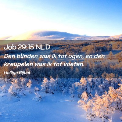 Picture 02 - Job 29:15 NLD - Den blinden was ik tot ogen, en den kreupelen was - Bible Verse Picture