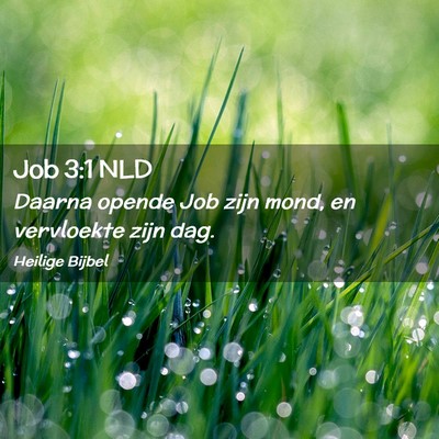 Picture 02 - Job 3:1 NLD - Daarna opende Job zijn mond, en vervloekte zijn - Bible Verse Picture