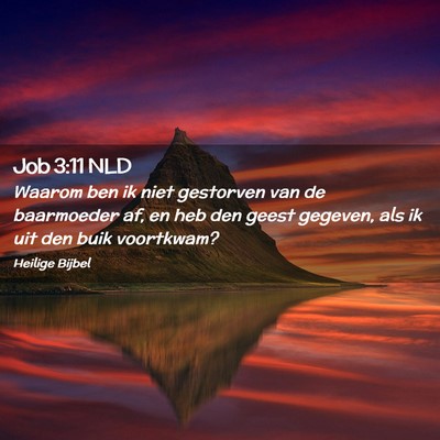 Picture 02 - Job 3:11 NLD - Waarom ben ik niet gestorven van de baarmoeder - Bible Verse Picture