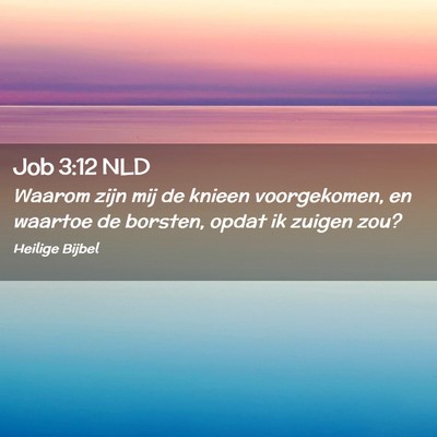 Picture 02 - Job 3:12 NLD - Waarom zijn mij de knieen voorgekomen, en waartoe - Bible Verse Picture