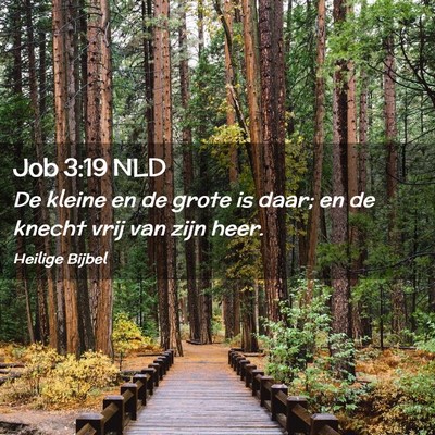 Picture 02 - Job 3:19 NLD - De kleine en de grote is daar; en de knecht vrij - Bible Verse Picture