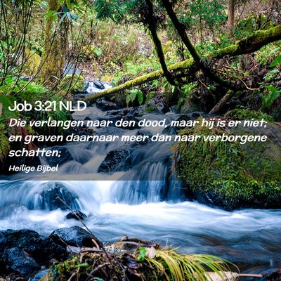 Picture 02 - Job 3:21 NLD - Die verlangen naar den dood, maar hij is er niet; - Bible Verse Picture