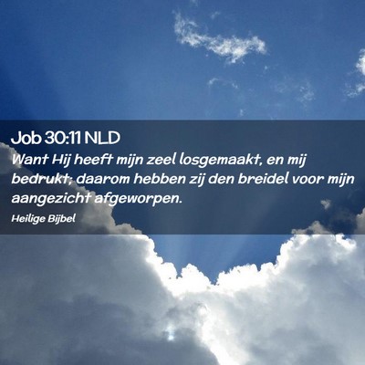 Picture 02 - Job 30:11 NLD - Want Hij heeft mijn zeel losgemaakt, en mij - Bible Verse Picture