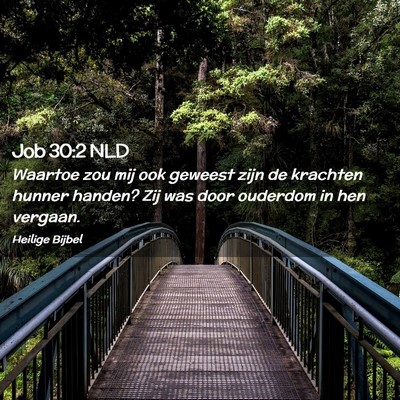 Picture 02 - Job 30:2 NLD - Waartoe zou mij ook geweest zijn de krachten - Bible Verse Picture