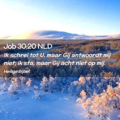 Picture 02 - Job 30:20 NLD - Ik schrei tot U, maar Gij antwoordt mij niet; ik - Bible Verse Picture