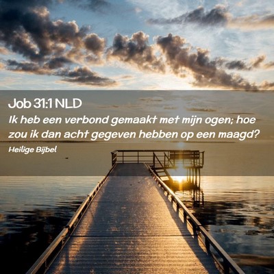 Picture 02 - Job 31:1 NLD - Ik heb een verbond gemaakt met mijn ogen; hoe zou - Bible Verse Picture