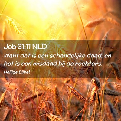 Picture 02 - Job 31:11 NLD - Want dat is een schandelijke daad, en het is een - Bible Verse Picture