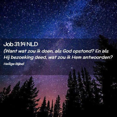 Picture 02 - Job 31:14 NLD - (Want wat zou ik doen, als God opstond? En als - Bible Verse Picture