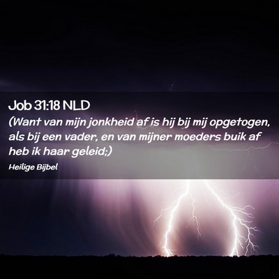 Picture 02 - Job 31:18 NLD - (Want van mijn jonkheid af is hij bij mij - Bible Verse Picture
