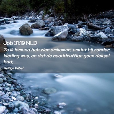 Picture 02 - Job 31:19 NLD - Zo ik iemand heb zien omkomen, omdat hij zonder - Bible Verse Picture