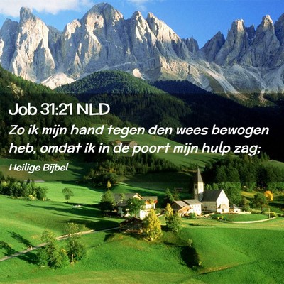 Picture 02 - Job 31:21 NLD - Zo ik mijn hand tegen den wees bewogen heb, omdat - Bible Verse Picture