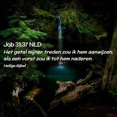 Picture 02 - Job 31:37 NLD - Het getal mijner treden zou ik hem aanwijzen; als - Bible Verse Picture