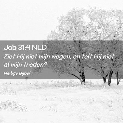 Picture 02 - Job 31:4 NLD - Ziet Hij niet mijn wegen, en telt Hij niet al - Bible Verse Picture
