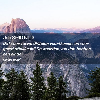 Picture 02 - Job 31:40 NLD - Dat voor tarwe distelen voortkomen, en voor gerst - Bible Verse Picture