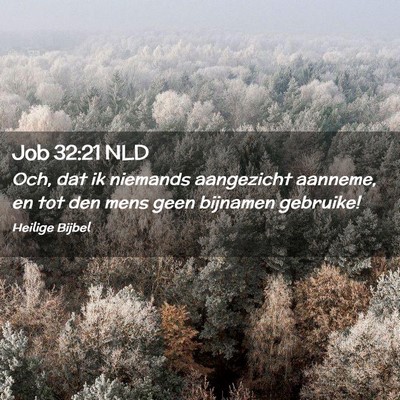 Picture 02 - Job 32:21 NLD - Och, dat ik niemands aangezicht aanneme, en tot - Bible Verse Picture