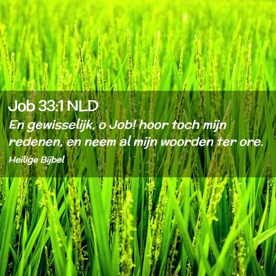 Picture 02 - Job 33:1 NLD - En gewisselijk, o Job! hoor toch mijn redenen, en - Bible Verse Picture