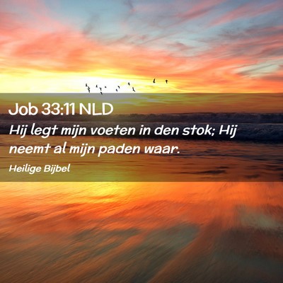 Picture 02 - Job 33:11 NLD - Hij legt mijn voeten in den stok; Hij neemt al - Bible Verse Picture