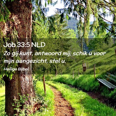 Picture 02 - Job 33:5 NLD - Zo gij kunt, antwoord mij; schik u voor mijn - Bible Verse Picture