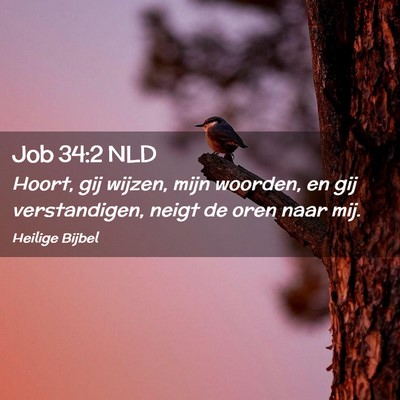 Picture 02 - Job 34:2 NLD - Hoort, gij wijzen, mijn woorden, en gij - Bible Verse Picture