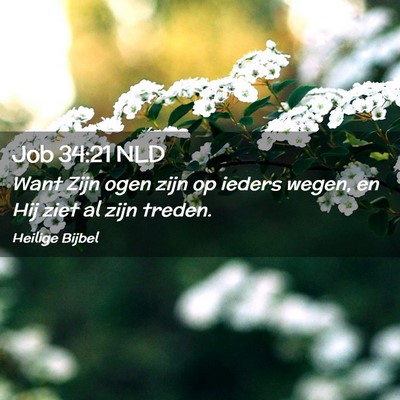 Picture 02 - Job 34:21 NLD - Want Zijn ogen zijn op ieders wegen, en Hij ziet - Bible Verse Picture