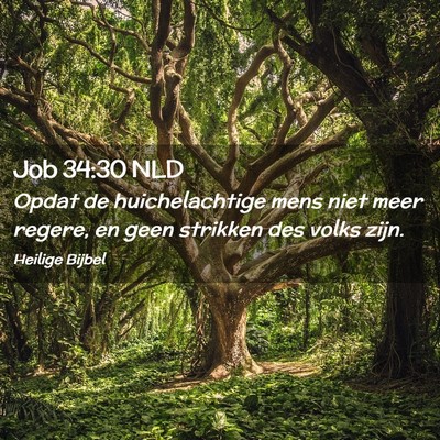 Picture 02 - Job 34:30 NLD - Opdat de huichelachtige mens niet meer regere, en - Bible Verse Picture