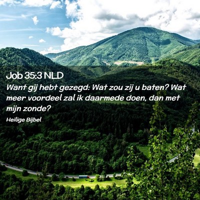 Picture 02 - Job 35:3 NLD - Want gij hebt gezegd: Wat zou zij u baten? Wat - Bible Verse Picture